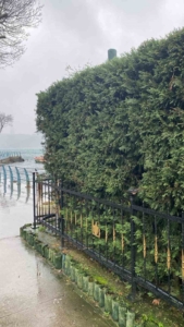 Sarıyer’de ilginç olay kamerada: Kafasını kapatıp kafenin önündeki lambaları kırdı