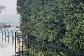 Sarıyer’de ilginç olay kamerada: Kafasını kapatıp kafenin önündeki lambaları kırdı