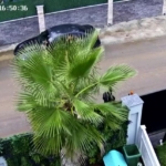 Şile’de borç anlaşmazlığı: Zorla sözleşme imzalatıp tehdit ettiler