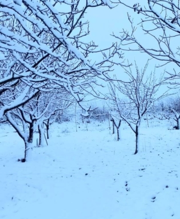 Tekirdağ Hayrabolu’da kar yağışı