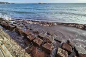 Tekirdağ kıyılarında kızıl yosun istilası