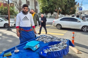 Tekirdağ’da hamsi ve istavrit 100 lira