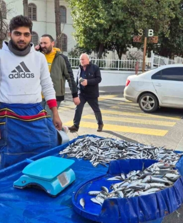Tekirdağ’da hamsi ve istavrit 100 lira