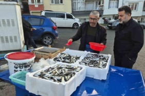 Tekirdağ’da seyyar tezgahlarda istavritin kilosu 150 liraya satılıyor