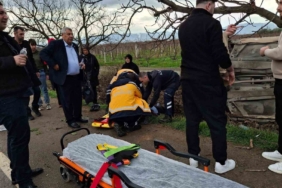 Tırın çarptığı otomobil ağaçlık alana uçtu : 3 yaralı