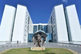 “Üst solunum yolu enfeksiyonu şikâyetiyle başvuranların yüzde 78,3’ü İnfluenza A”