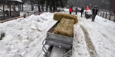 Yaban hayvanları için doğaya yem bırakıldı