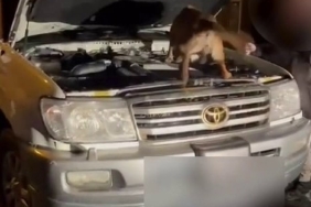 Yakıt deposundan litrelerce uyuşturucu çıktı