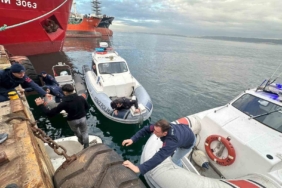 Yalova’da yasa dışı midye avcılığı yapan 7 kişiye 653 bin lira ceza