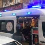 Yola fırlayan kediyi ezmemek uğruna kaza yaptı