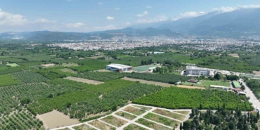 Gürsu Belediyesi tarımsal dönüşümün öncüsü oluyor