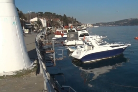 Sarıyer’de binlerce denizanası kıyıya vurdu