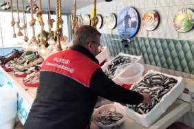 Edremit’te balık denetimi