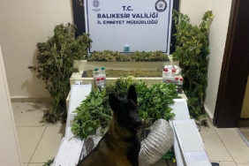 Bandırma’da zehir tacirlerine geçit yok: 1 gözaltı