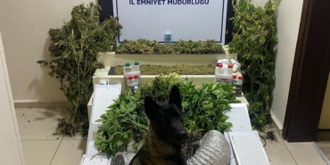 Bandırma’da zehir tacirlerine geçit yok: 1 gözaltı