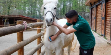 Bayramda doğanın kalbi Ormanya’da atacak
