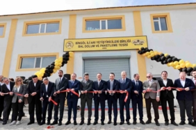 Avrupa Birliği’nden coğrafi işaret alan Bingöl Balı’nın ilk dolumu gerçekleşti