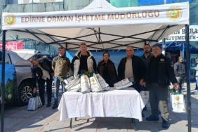Edirne’de çam fidanı dağıtıldı