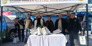 Edirne’de çam fidanı dağıtıldı