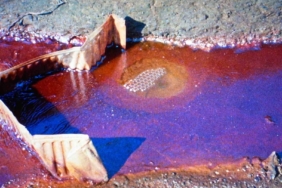 "Bu son şansımız mı?" gösterim programı Salt Beyoğlu’nda gerçekleştirilecek