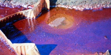 "Bu son şansımız mı?" gösterim programı Salt Beyoğlu’nda gerçekleştirilecek