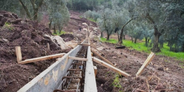 Gemlik’te Patili Canlar Yeni Yuvalarına Kavuşuyor