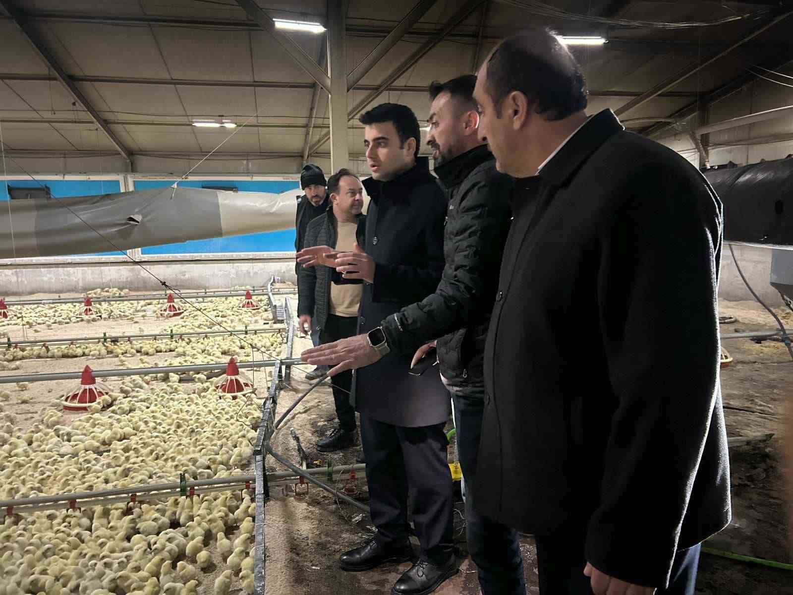 Tavuk çiftliğinde çıkan yangın söndürüldü