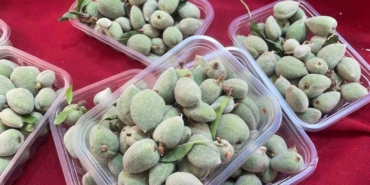 Şifa deposu badem çağlası, kilosu 600 liradan satılıyor