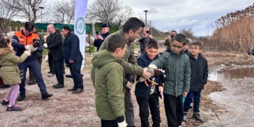 Minik öğrenciler, avuçlarına sığmayan ördekleri doğaya saldı