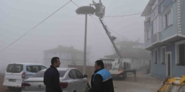 Karacabey’deki leylek yuvalarında geleneksel temizlik devam ediyor