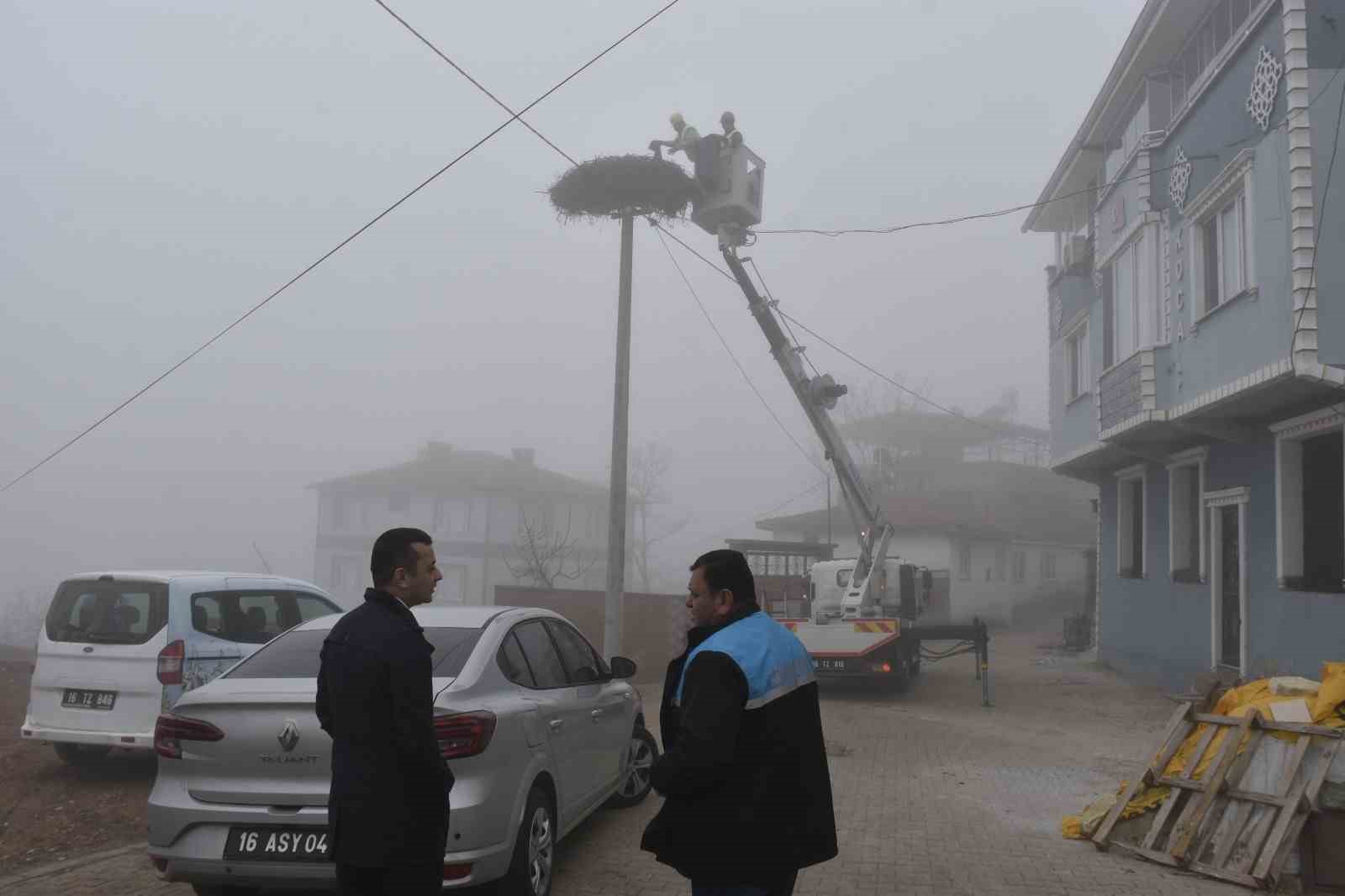 Karacabey’deki leylek yuvalarında geleneksel temizlik devam ediyor