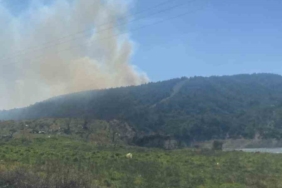 Çanakkale’deki orman yangınında 3 hektar alan zarar gördü