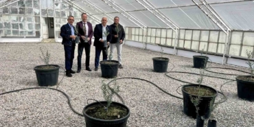 Edremit’te yeni yerli zeytin çeşidi tescillendi