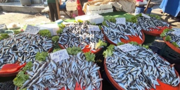 Tekirdağ’da hamsi ve istavritin kilosu 100 liradan satıldı