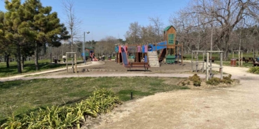 Florya Atatürk Ormanı’nda başı boş köpekler vatandaşları tedirgin ediyor