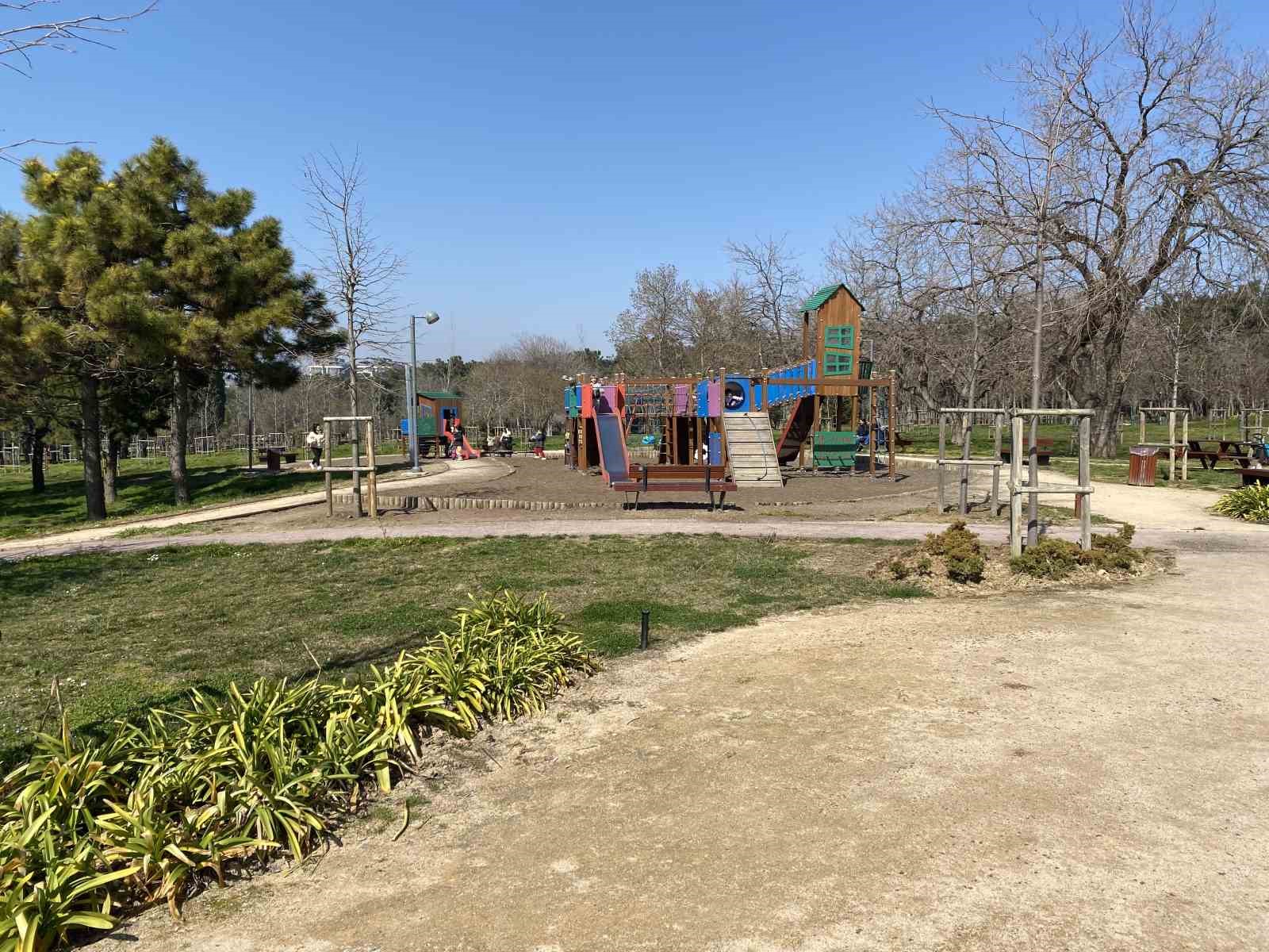 Florya Atatürk Ormanı’nda başı boş köpekler vatandaşları tedirgin ediyor