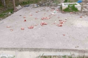 Sokaklara hayvanlar için atılan kokan ürünler vatandaşları çileden çıkarıyor