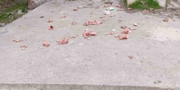 Sokaklara hayvanlar için atılan kokan ürünler vatandaşları çileden çıkarıyor