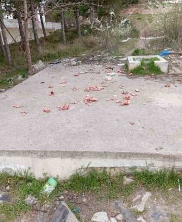 Sokaklara hayvanlar için atılan kokan ürünler vatandaşları çileden çıkarıyor