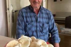 Devrilen traktörün altında kalan adam, hayatını kaybetti