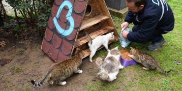 Balıkesir’de patili dostlara sıcak yuva