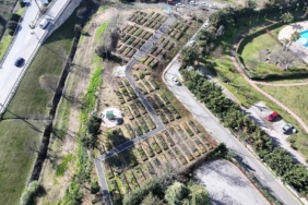 ’Kent Bostanları’ Ataşehir’de yayılıyor