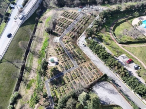 ’Kent Bostanları’ Ataşehir’de yayılıyor