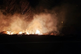 Ormanlık alanda çıkan yangın söndürüldü