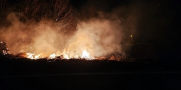 Ormanlık alanda çıkan yangın söndürüldü