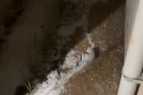 Bursa’da dolu yağışı fidelere zarar verdi