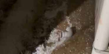 Bursa’da dolu yağışı fidelere zarar verdi