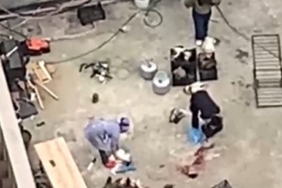 Esenyurt’ta apartman çatısında tavuk kesimi