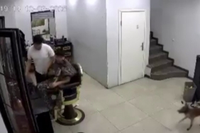 Kuaförde köpek korkusu berberi komedi sahnesine çevirdi
