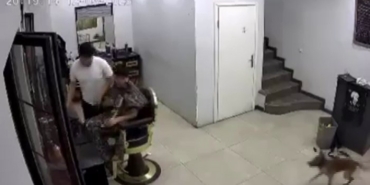 Kuaförde köpek korkusu berberi komedi sahnesine çevirdi